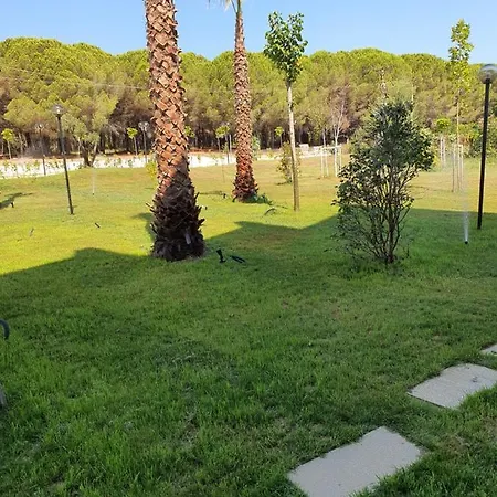 Amber Albania 4*