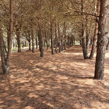 Amber Albania 4* Spille