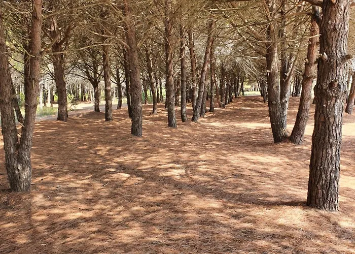 Amber Albania 4* Спилле