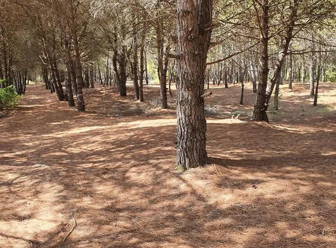 Amber Albania Спилле